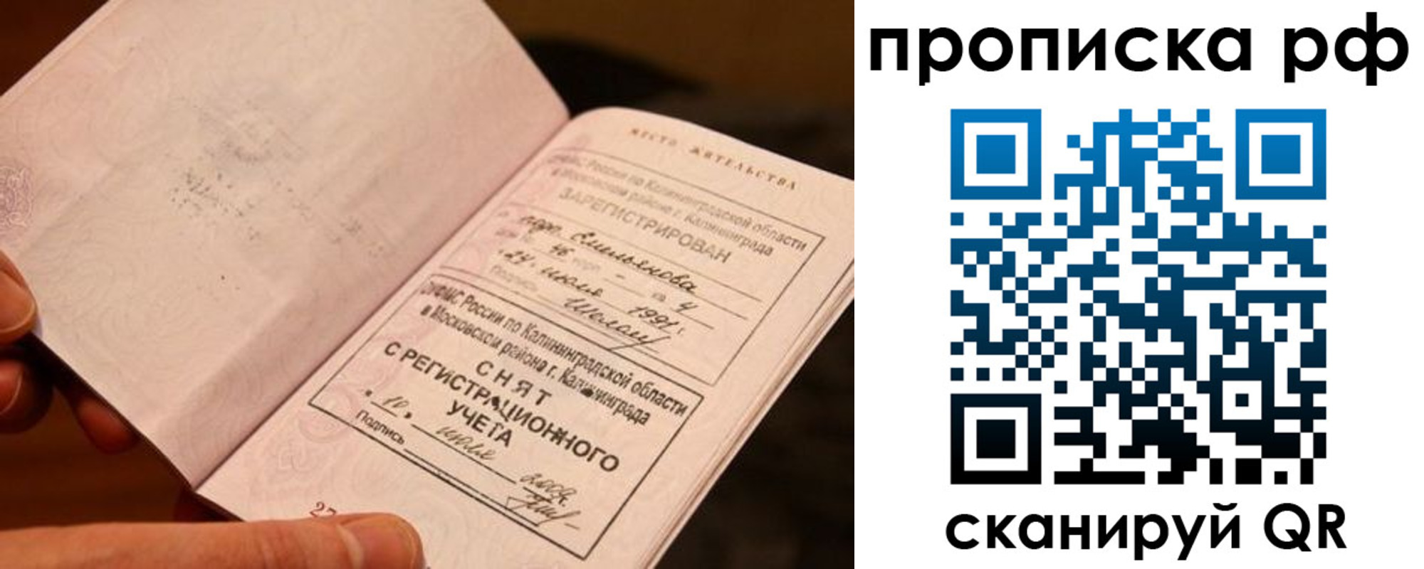 прописка гарантия в Новоалександровске